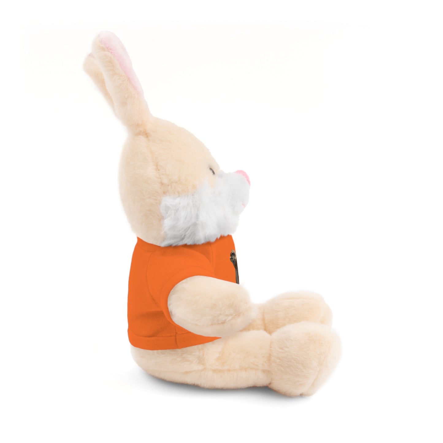Teddy Bear with Tee