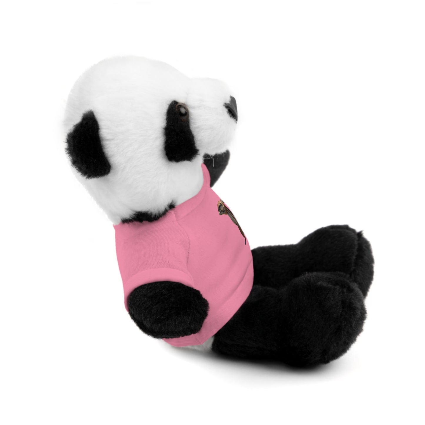Teddy Bear with Tee