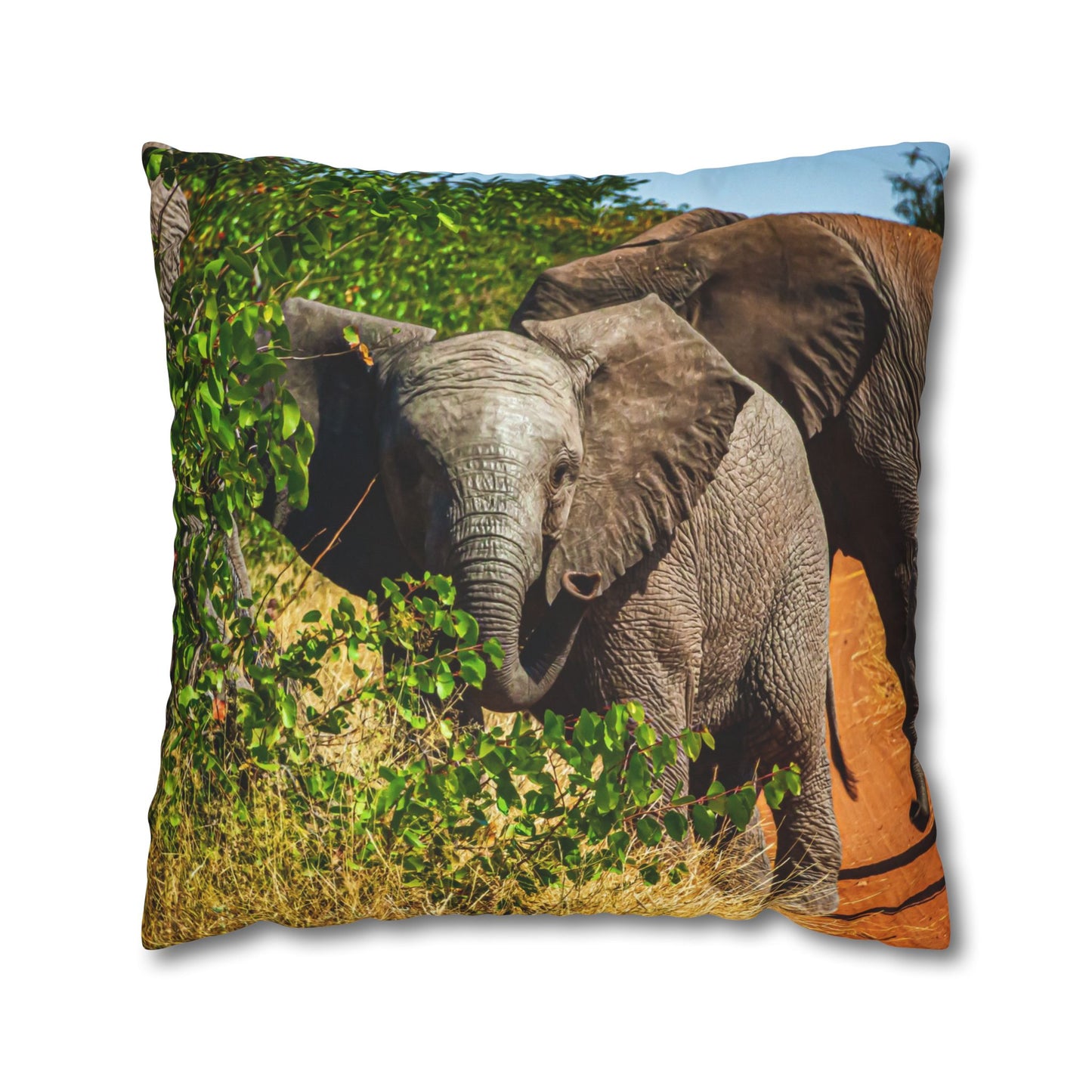Poly Canvas Pillowcase - Young Elephant