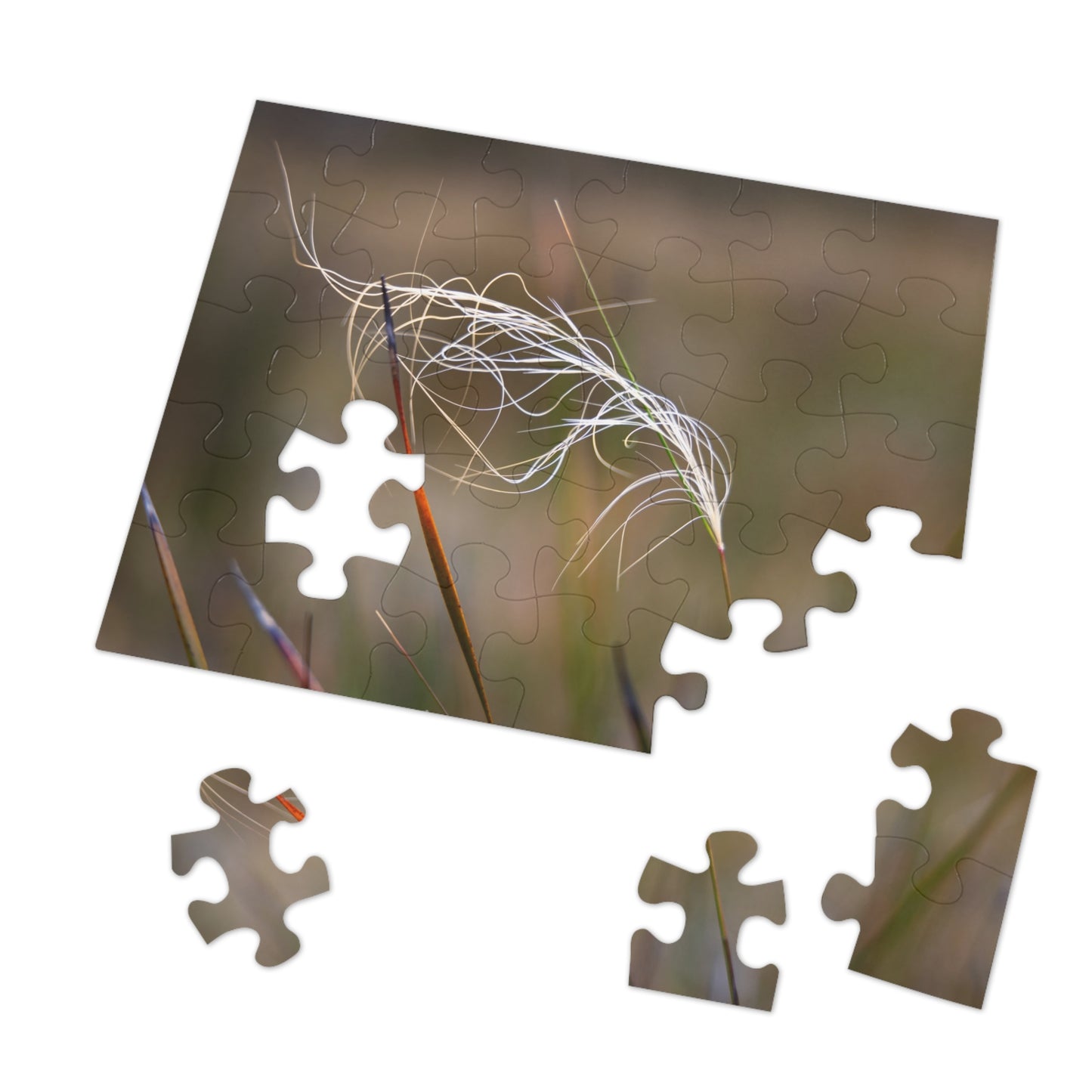 Australian Wildflower Jigsaw Puzzle 2000 piece
