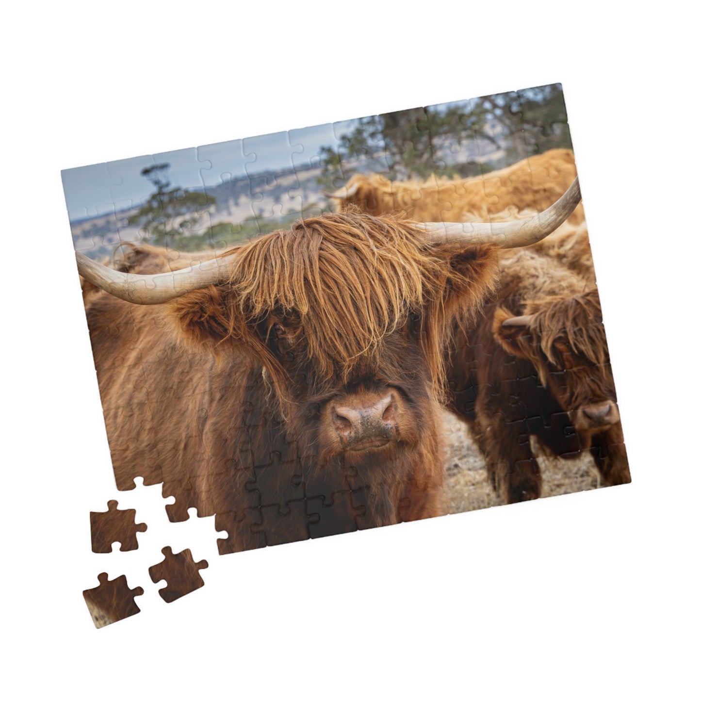 Scottish Highland Cattle Puzzle