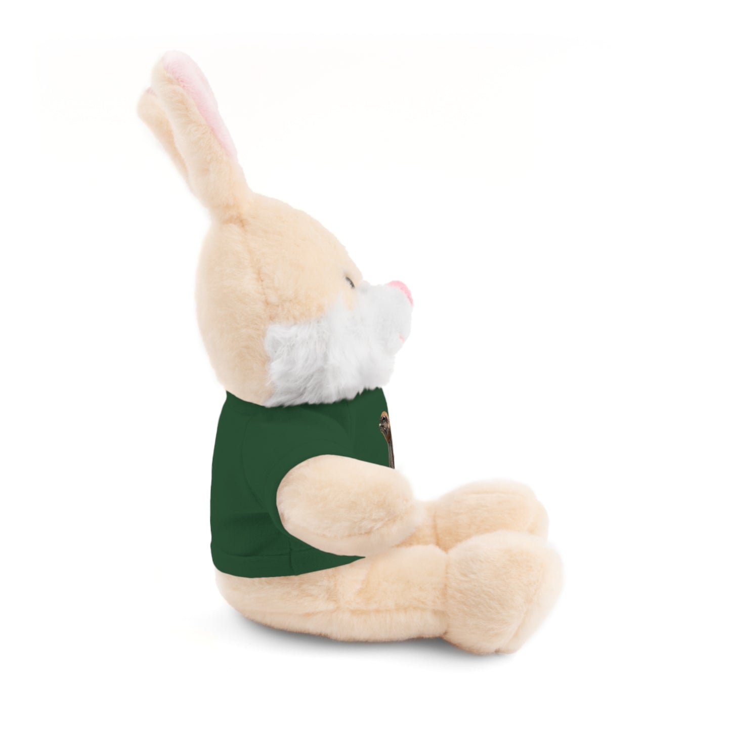 Teddy Bear with Tee