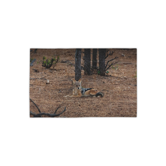 Black-Backed Jackal Beach Towels 18" x 27"