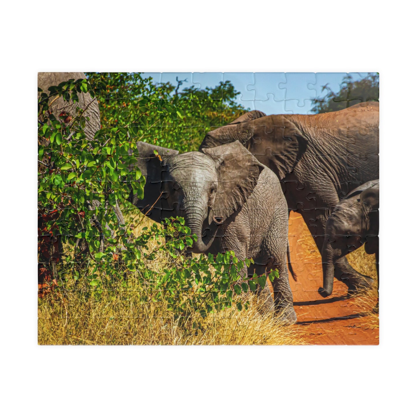 Young Elephant Jigsaw Puzzle