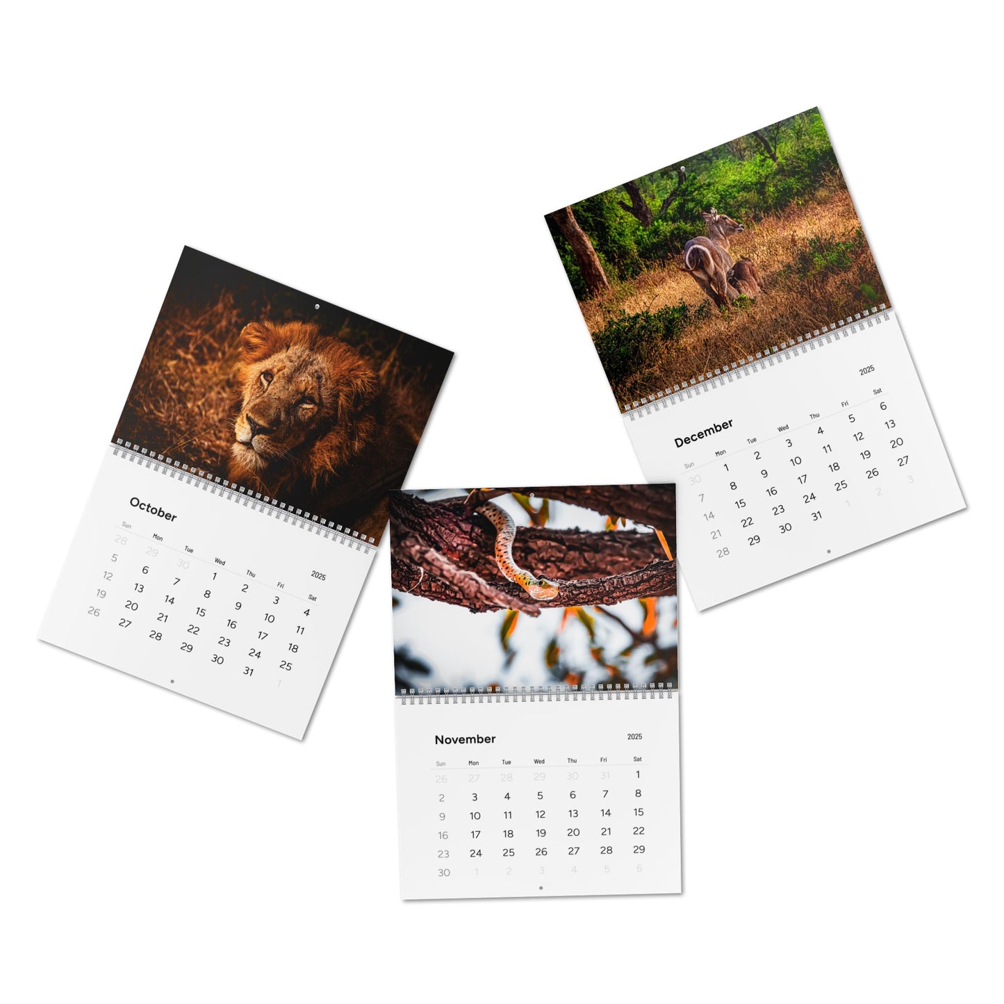 2025 Nature Wildlife Wall Calendar