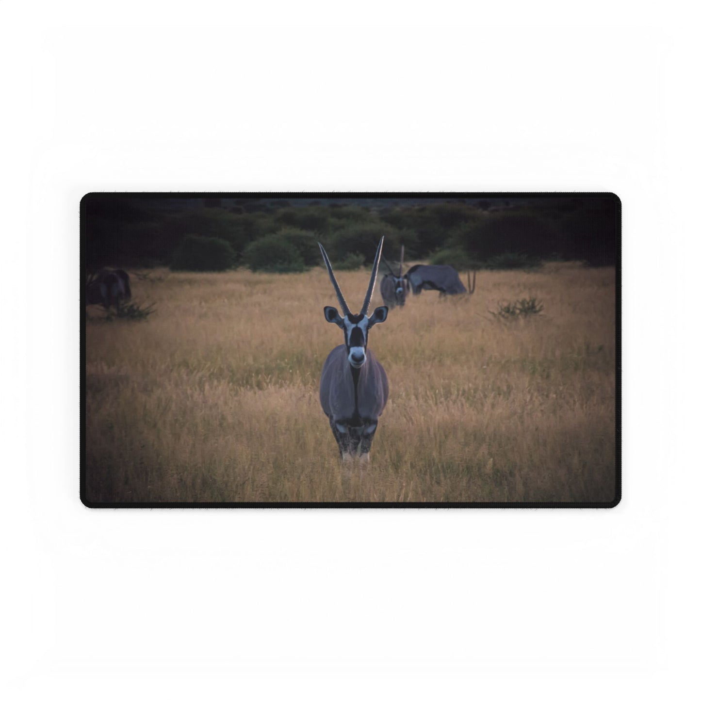 Gemsbok Oryx Desk Mats