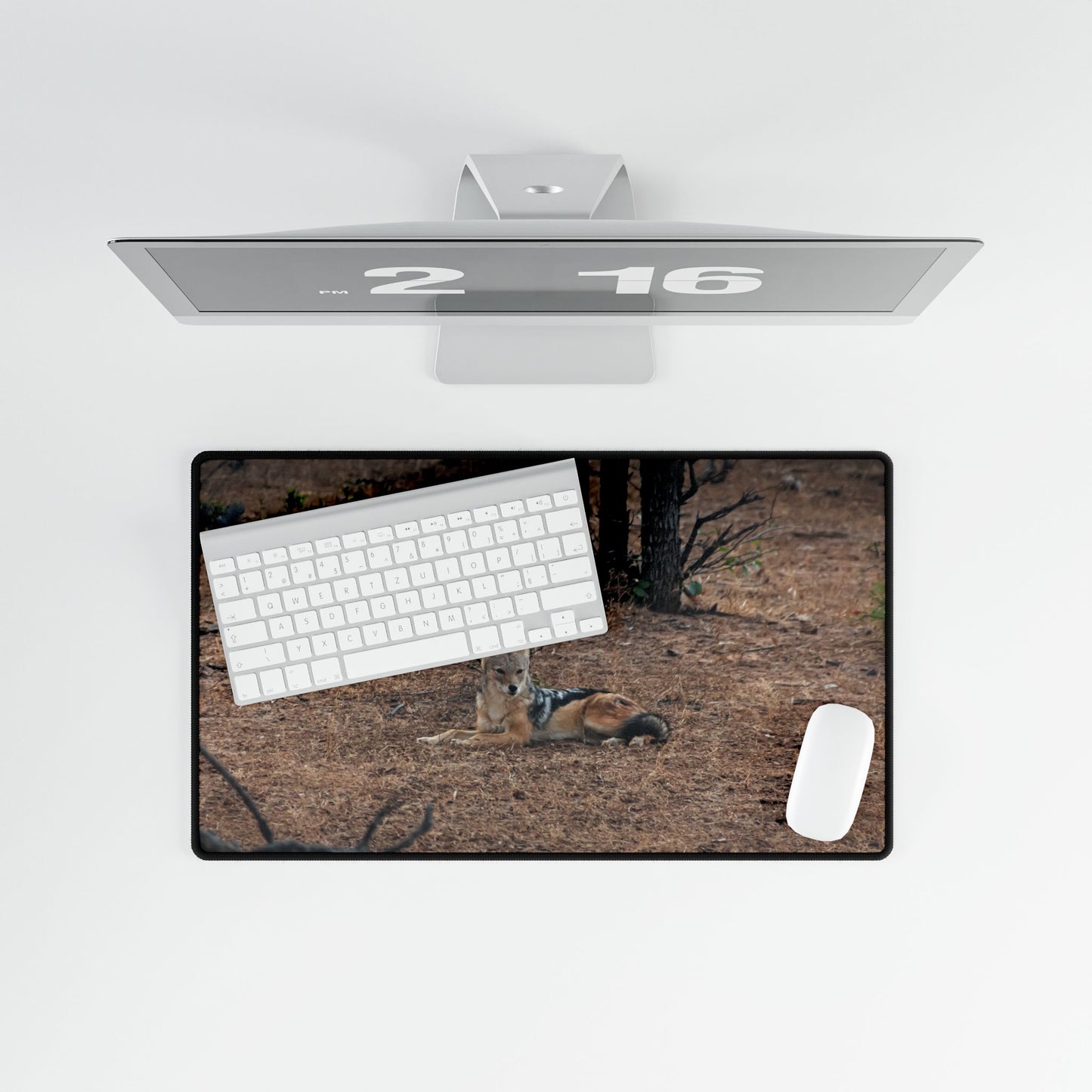 Black-Backed Jackal Desk Mat