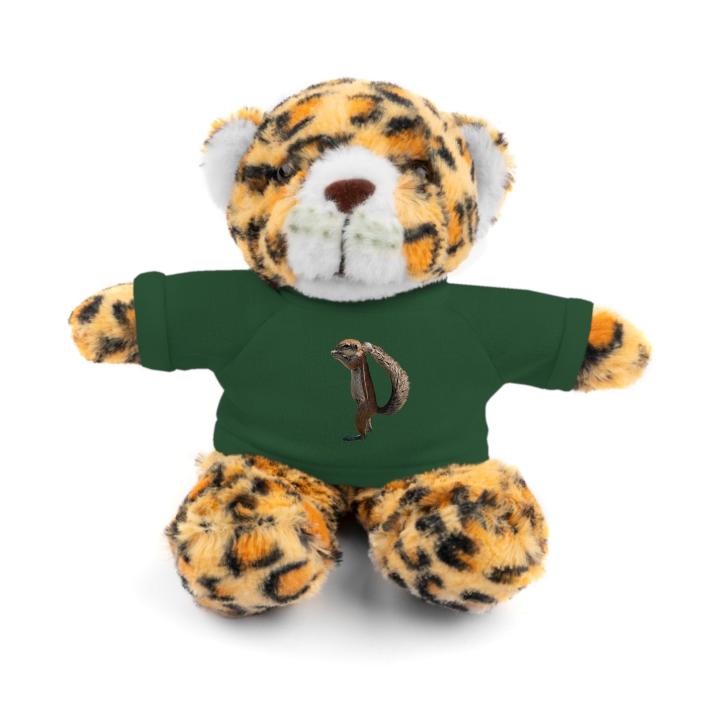 Teddy Bear with Tee