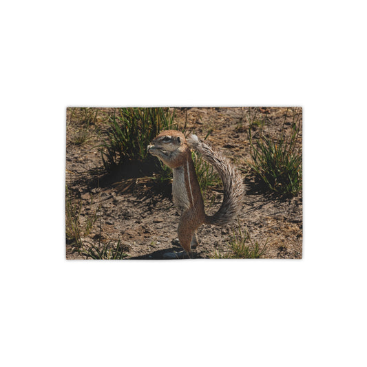 Ground Squirrel Beach Towel