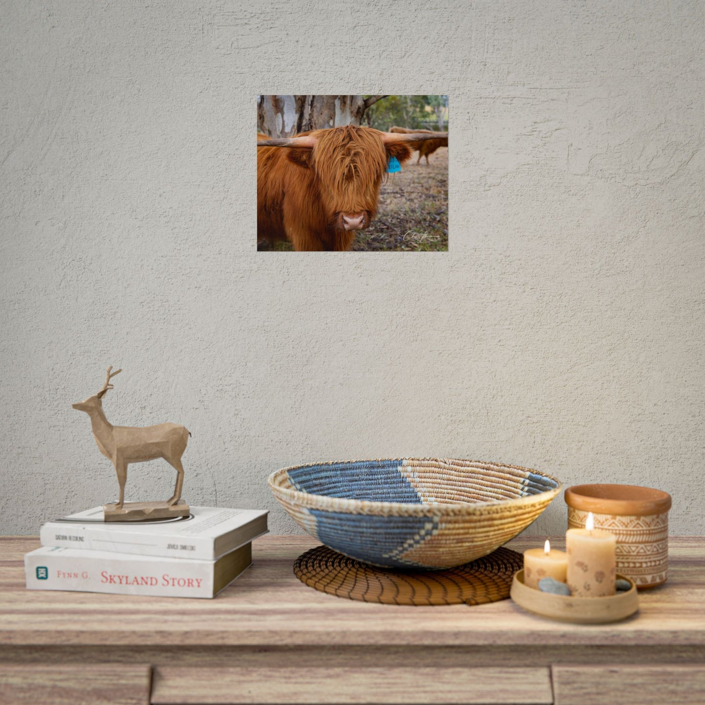 Rolled Posters - Scottish Highland Cattle 11″ x 9″ (Horizontal) Semi Glossy
