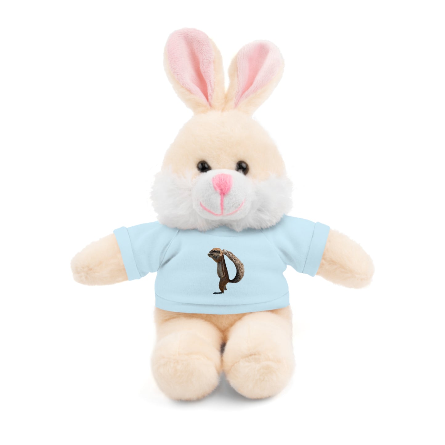 Teddy Bear with Tee