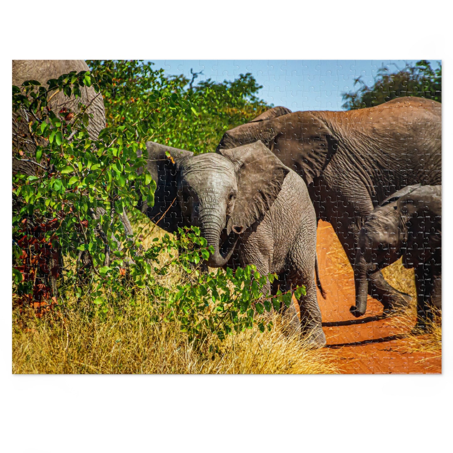 Young Elephant Jigsaw Puzzle with Tin