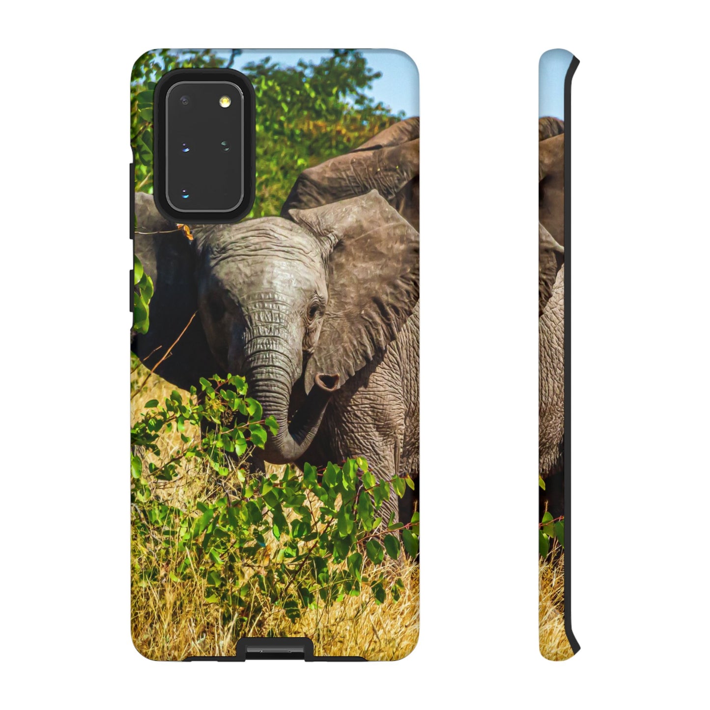 Tough Case - Young Elephant