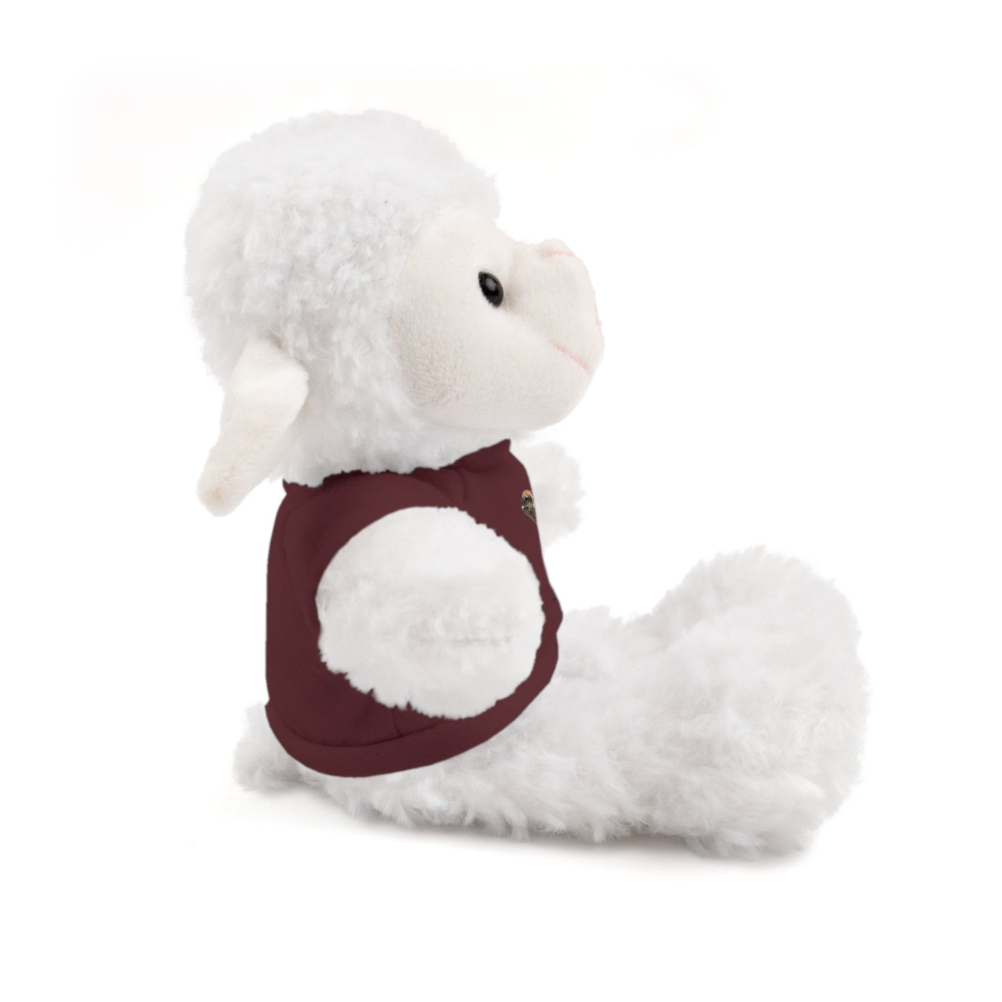 Teddy Bear with Tee