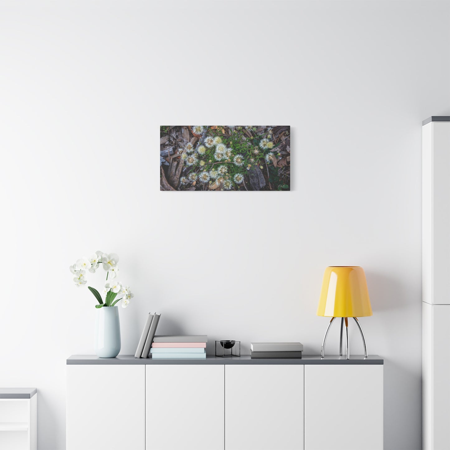Matte Canvas, Stretched, 1.25" - Australian Wildflowers