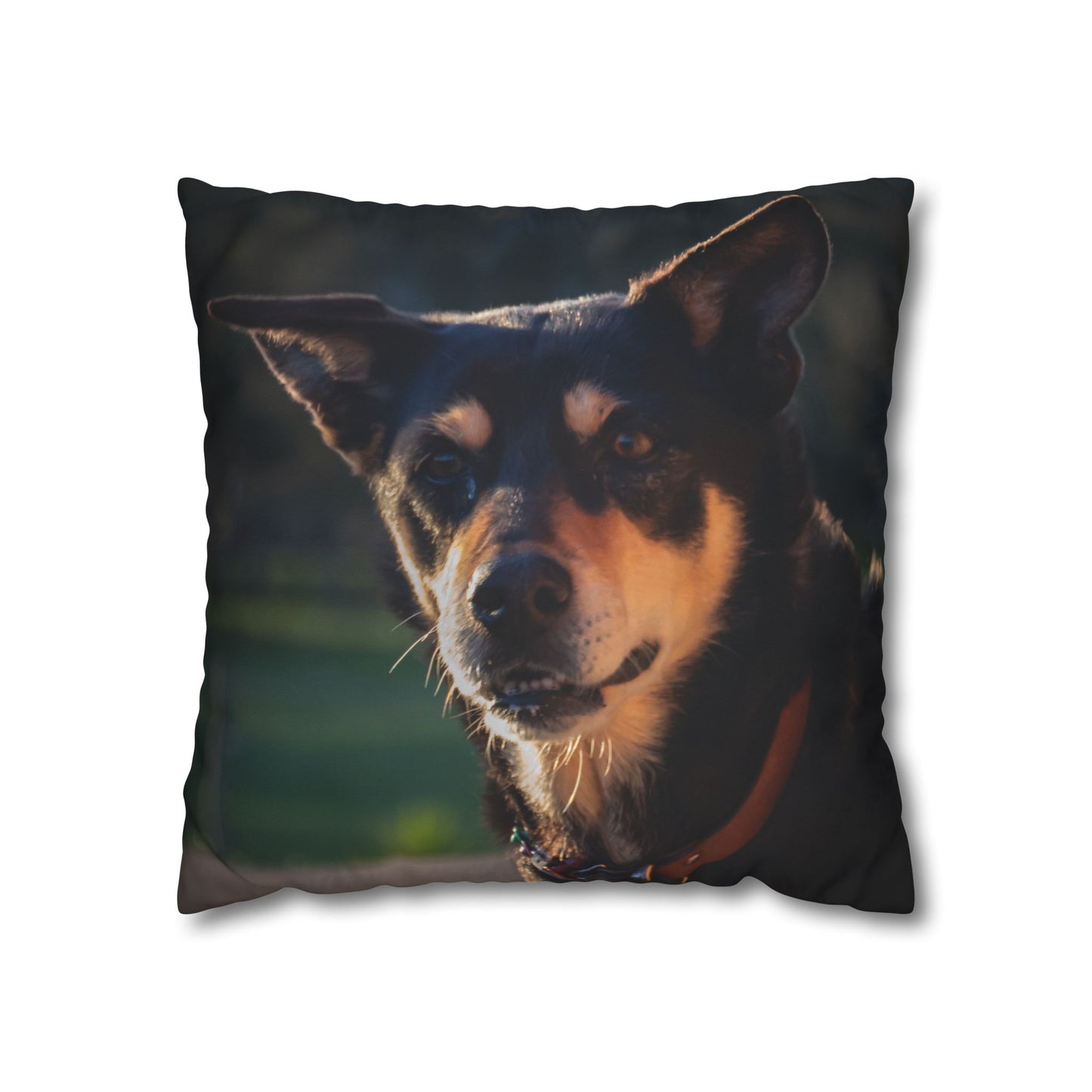 Poly Canvas Pillowcase - Saba the Kelpie 18" × 18"