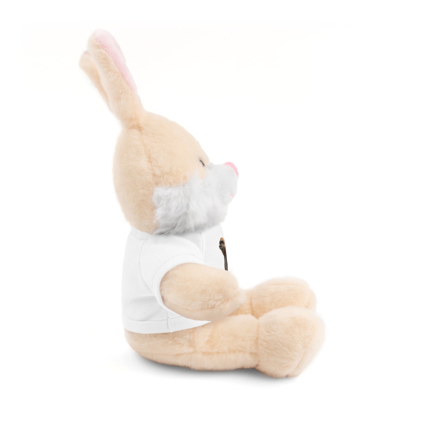 Teddy Bear with Tee
