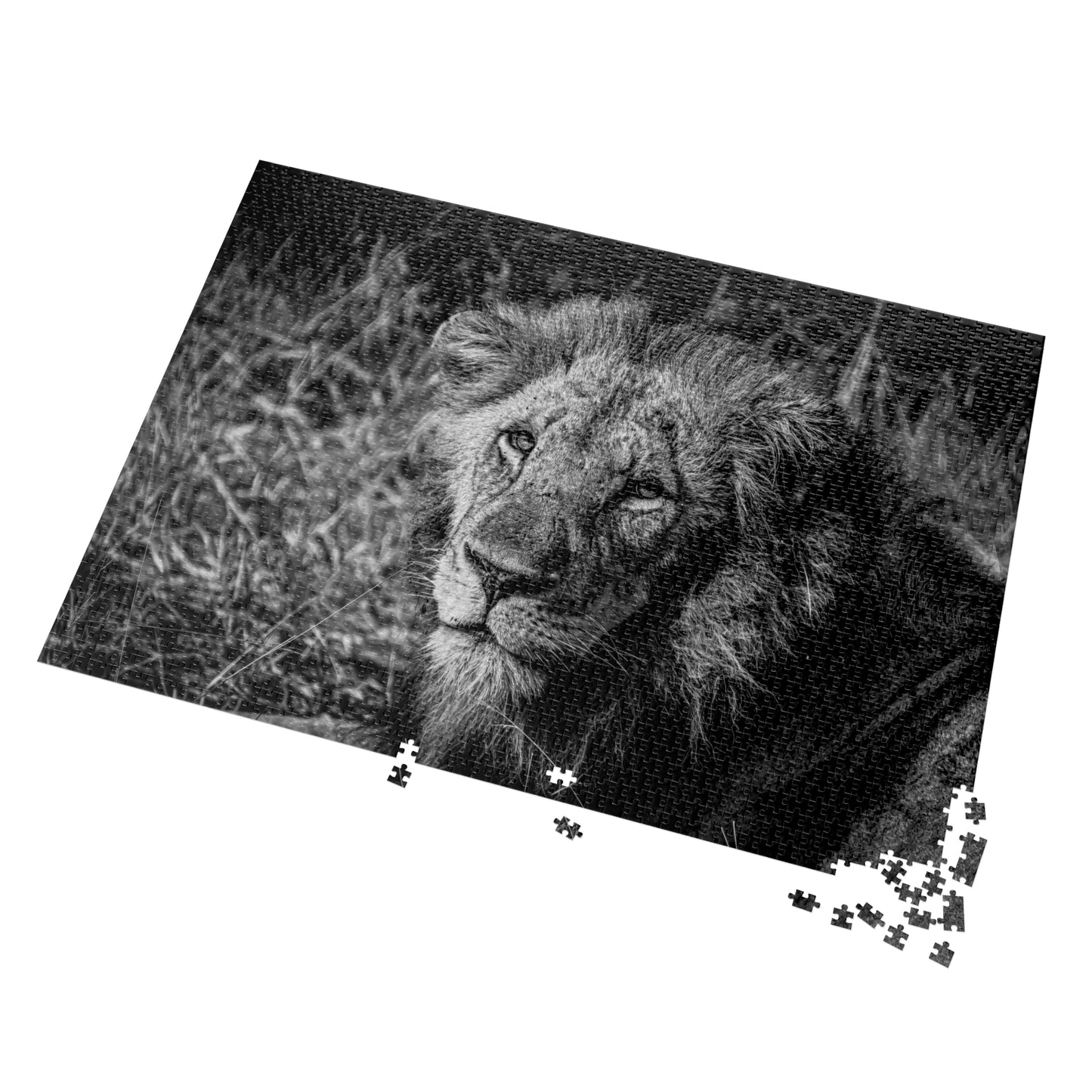 Majestic Old Lion Jigsaw Puzzle with Tin B&W