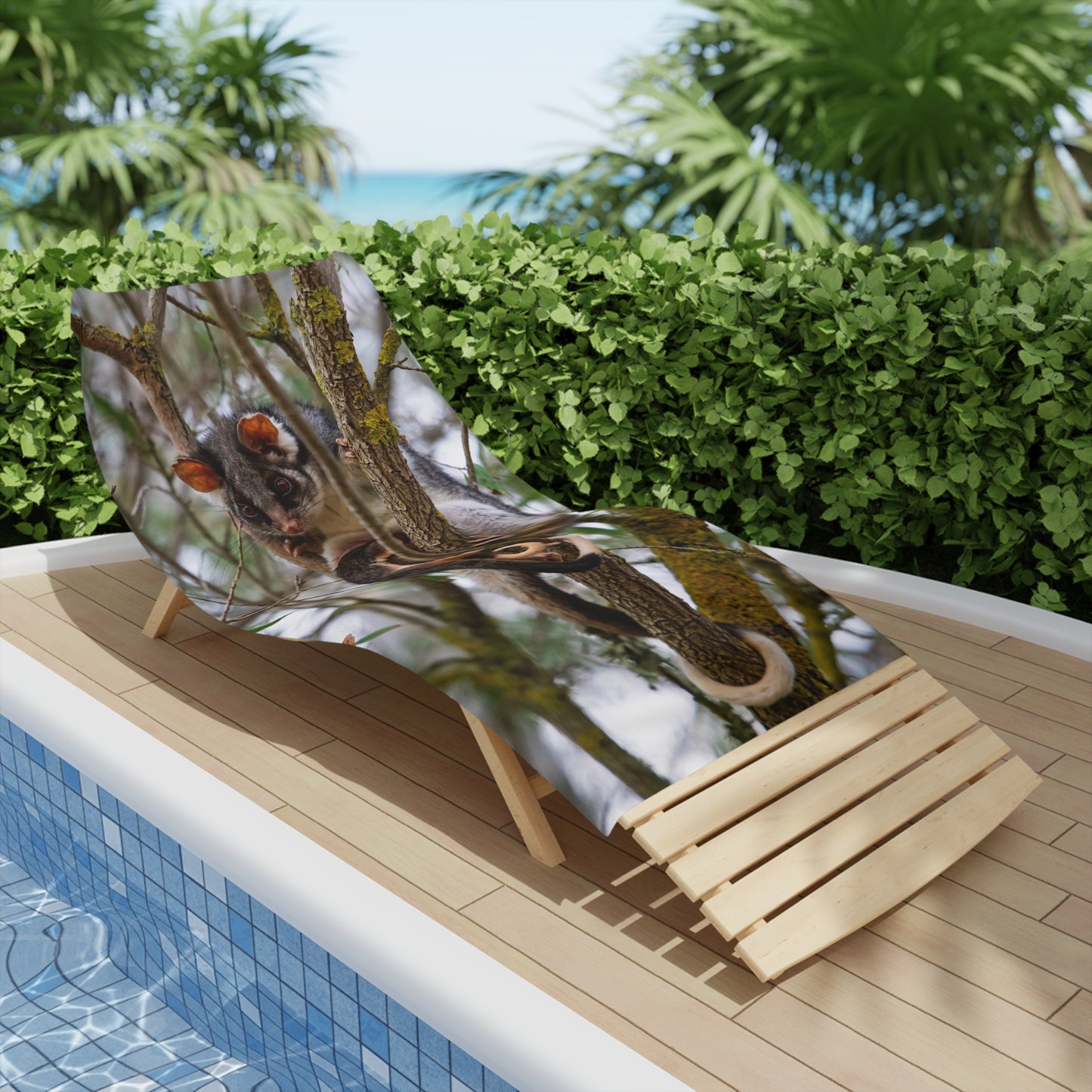 Ring-tailed Possum Beach Towels