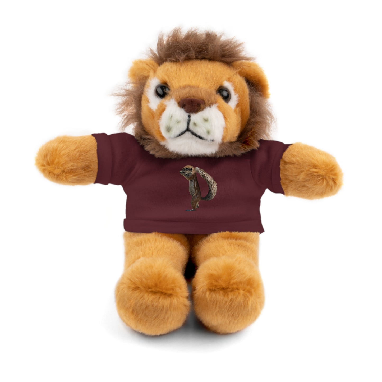 Teddy Bear with Tee