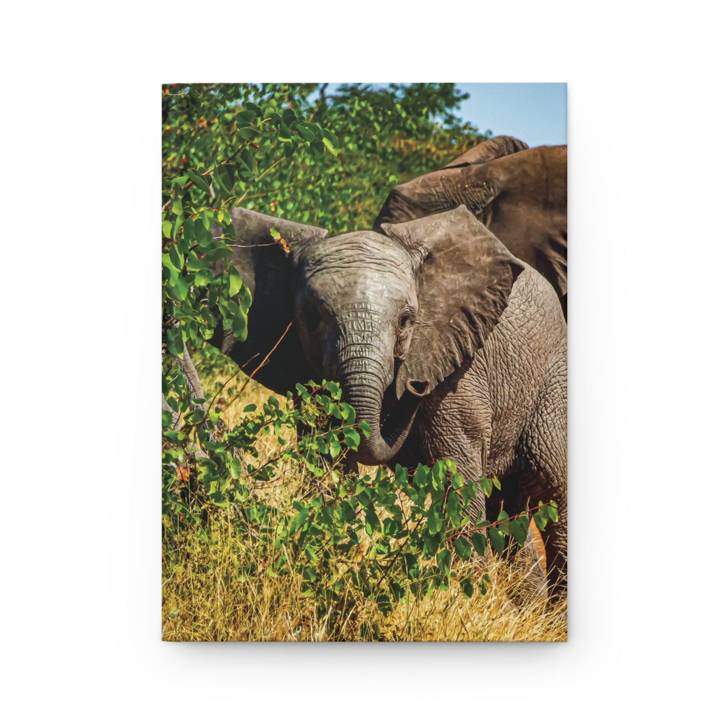 Hardcover Journal Matte - Young Elephant Journal