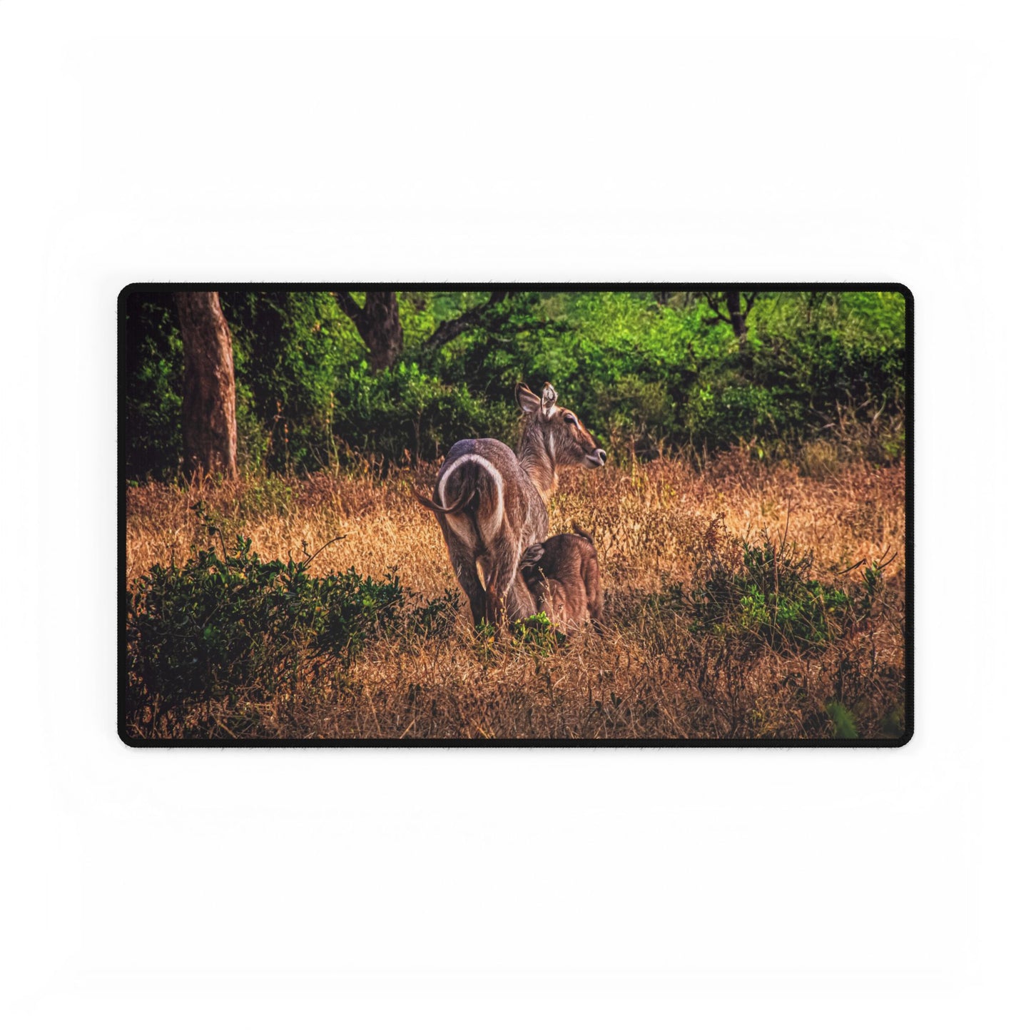 Waterbuck Baby Animal Desk Mat