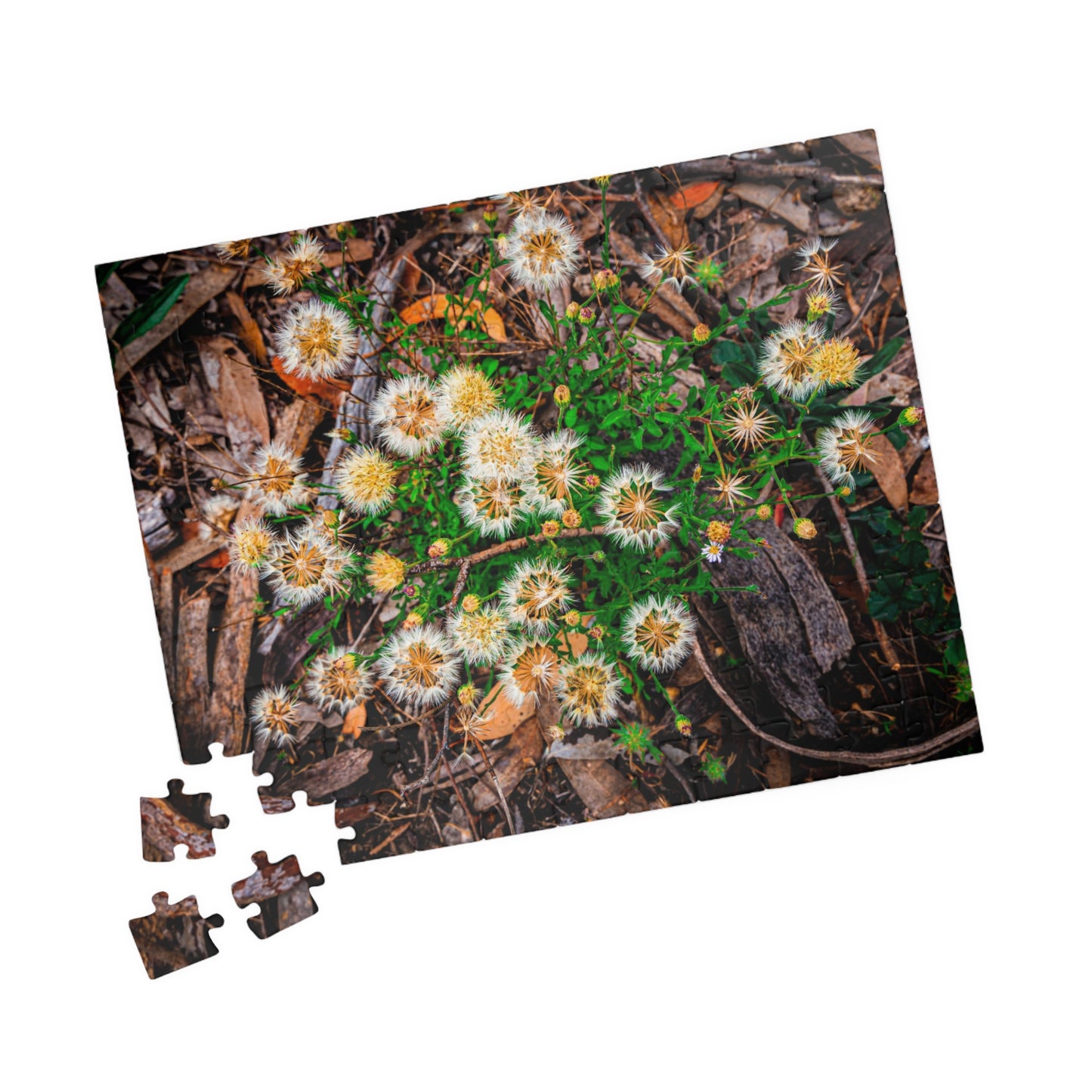 Australian Wildflower Jigsaw Puzzle