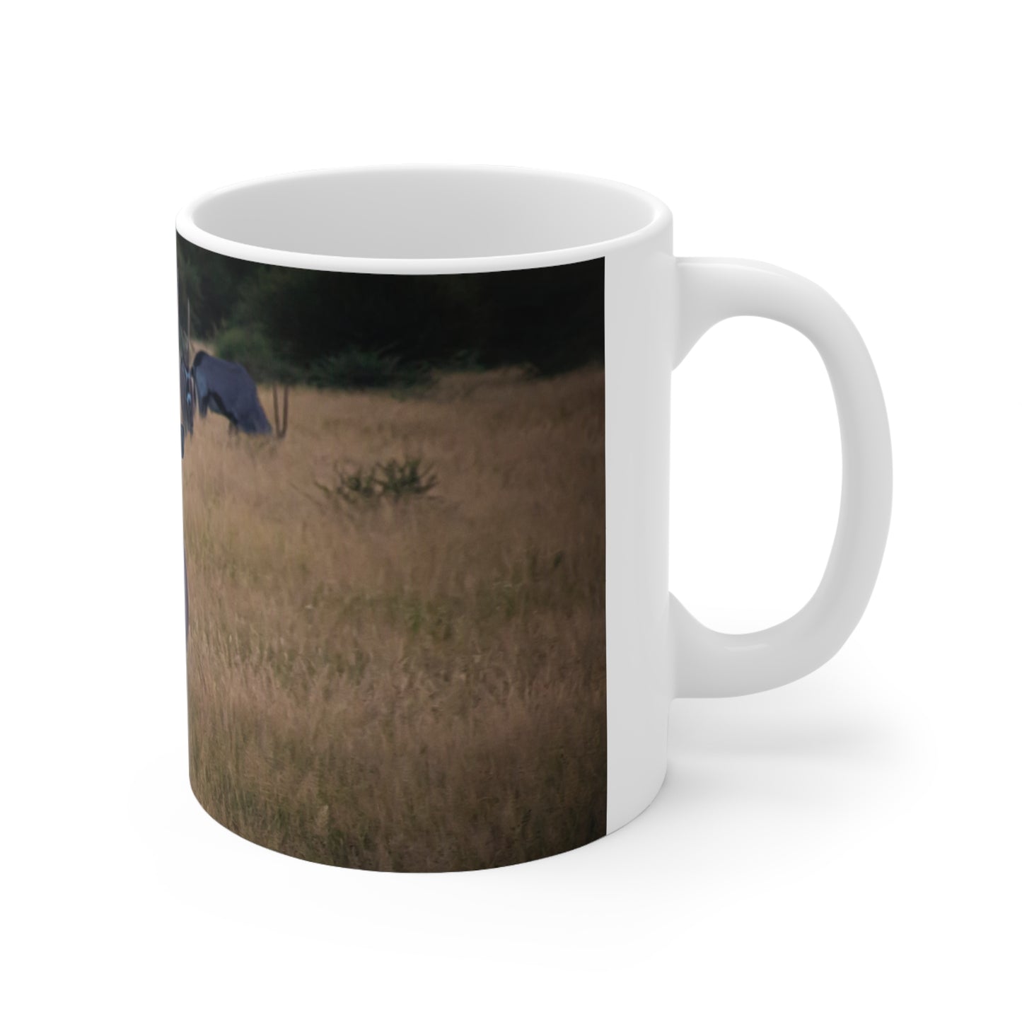 Kalahari Gemsbok Mug