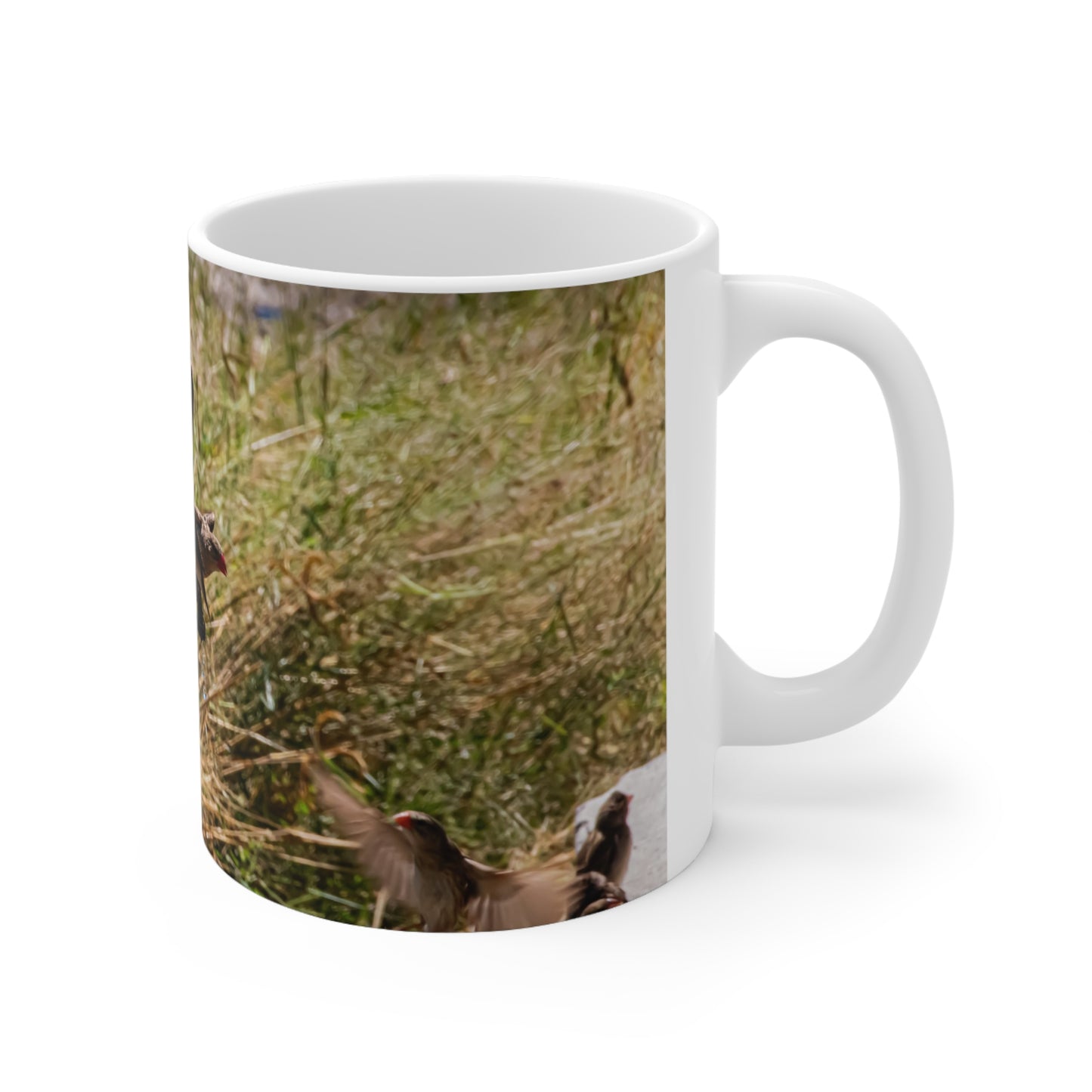 African Birds Mug