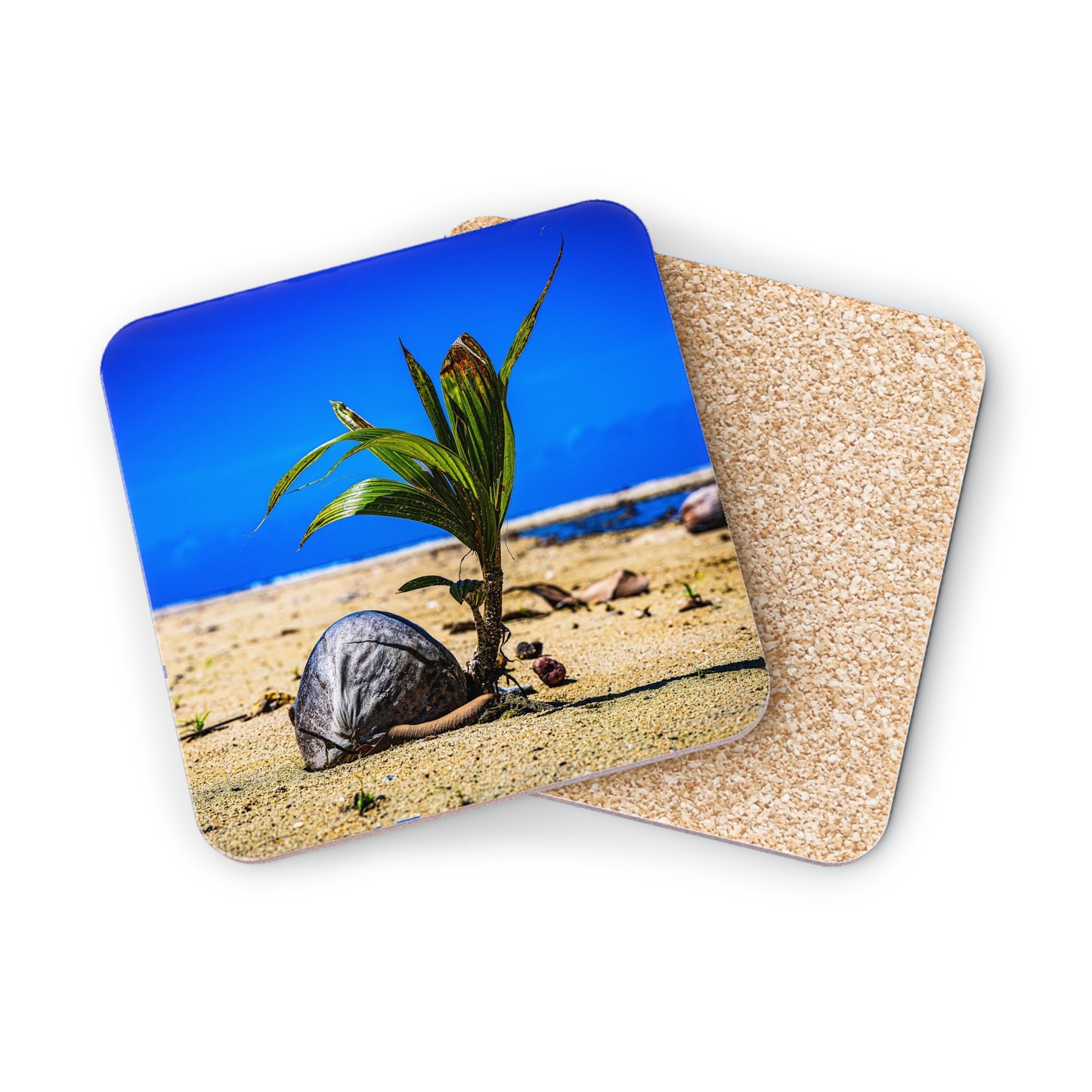 Beach Coconut Coasters