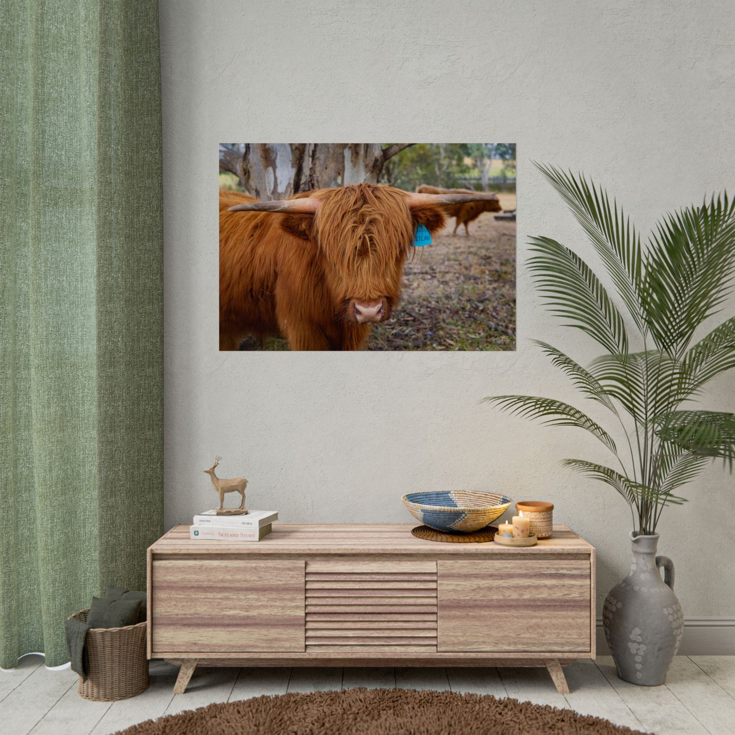 Rolled Posters - Scottish Highland Cattle 40" x 28" (Horizontal) Semi Glossy