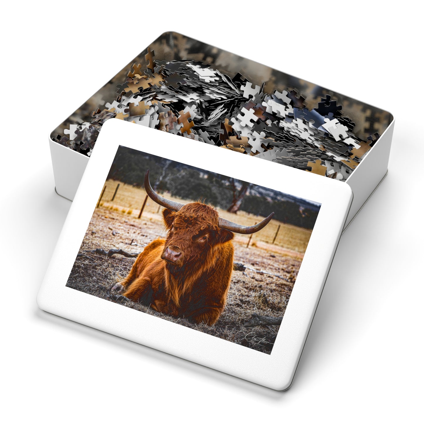 Scottish Highland Cattle Puzzle with Tin