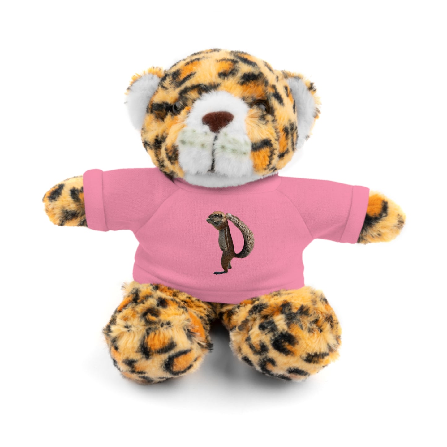 Teddy Bear with Tee