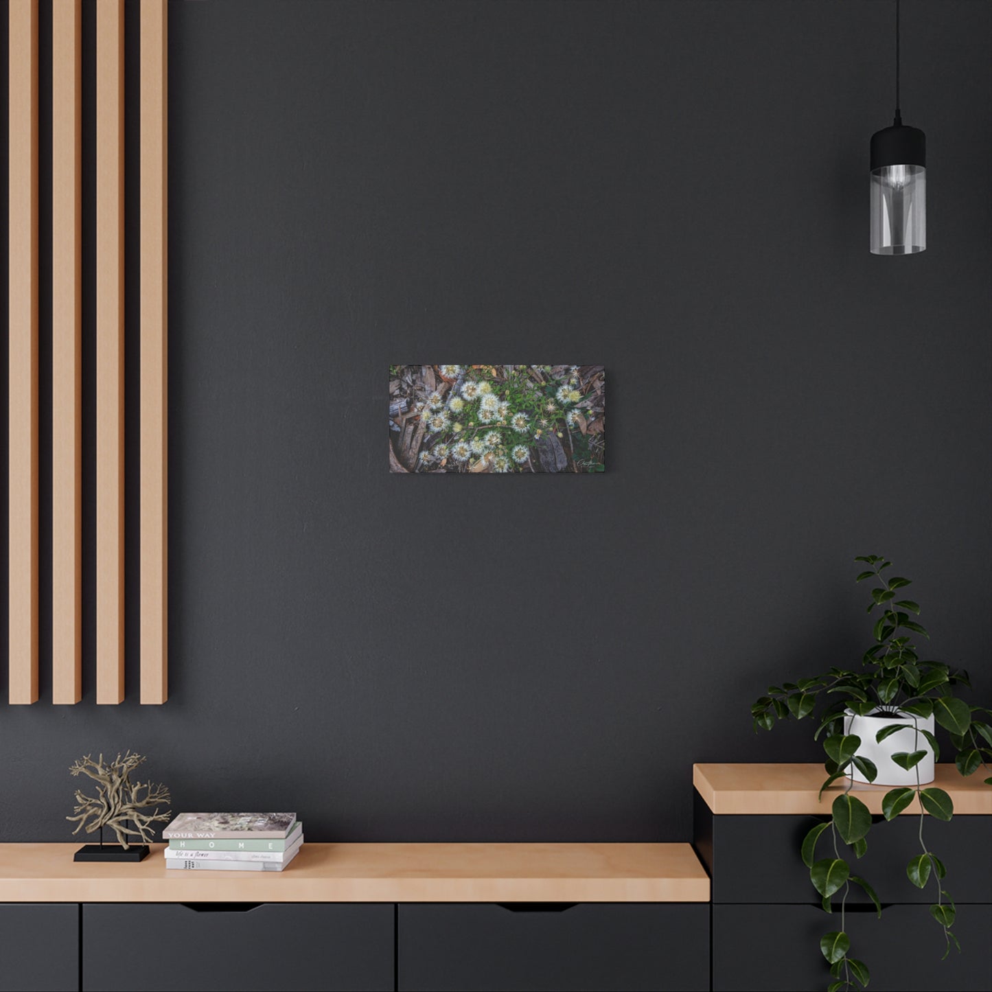 Matte Canvas, Stretched, 1.25" - Australian Wildflowers