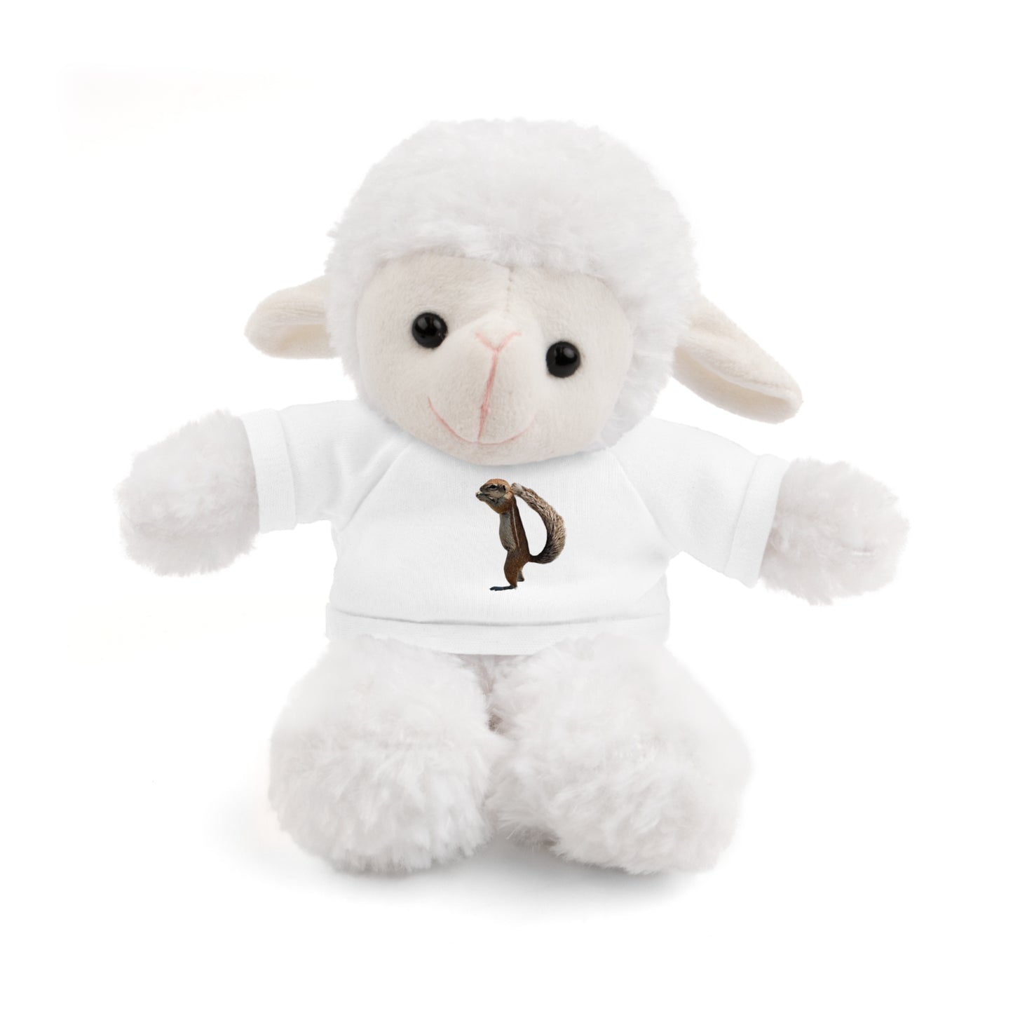 Teddy Bear with Tee