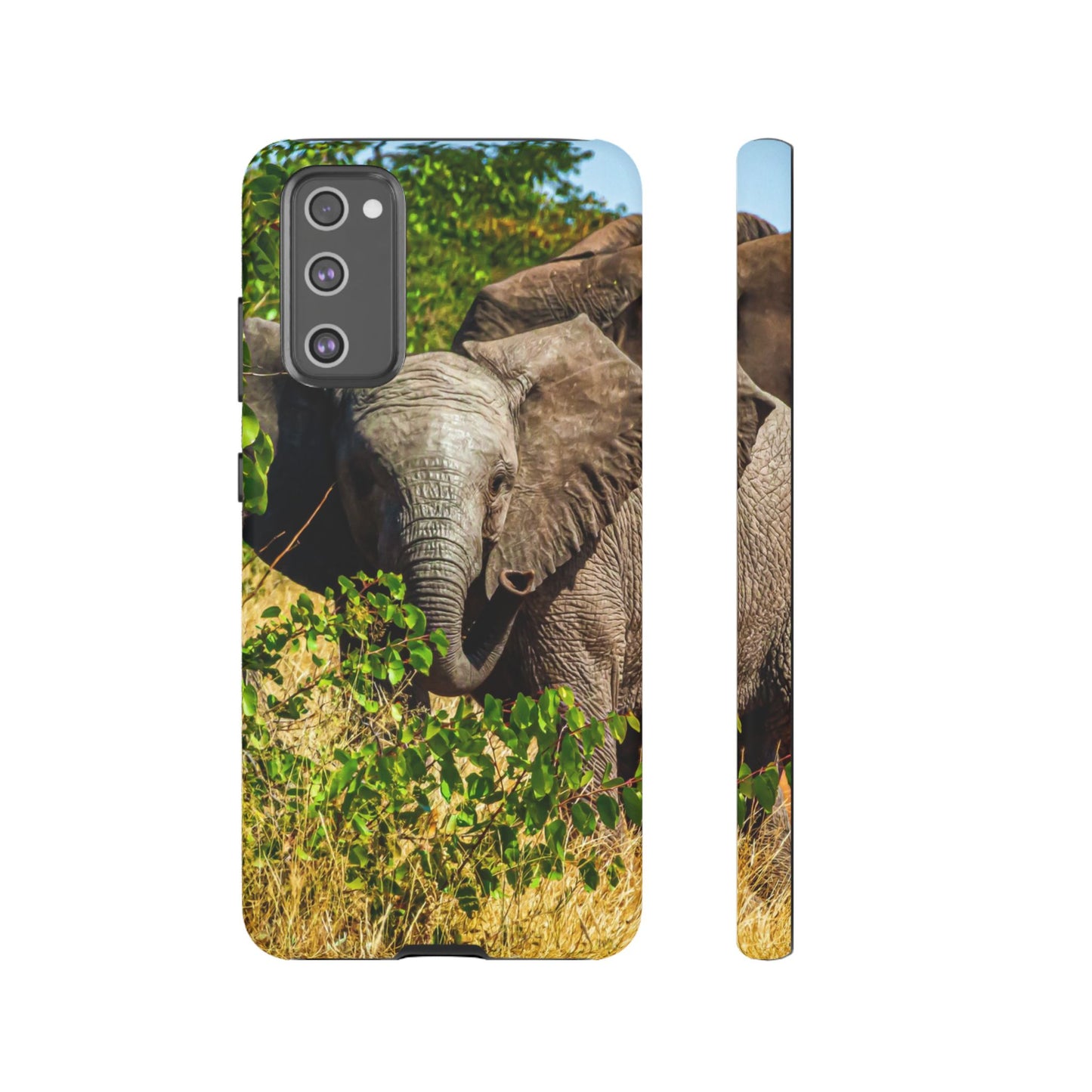 Tough Case - Young Elephant
