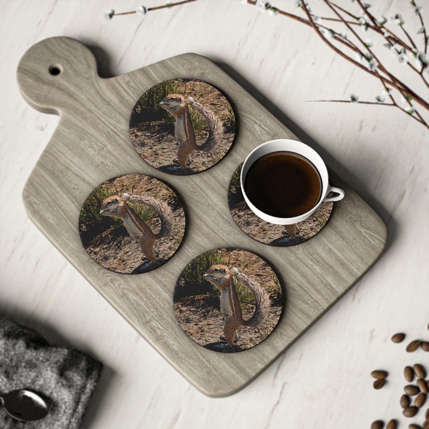 Ground Squirrel Coasters