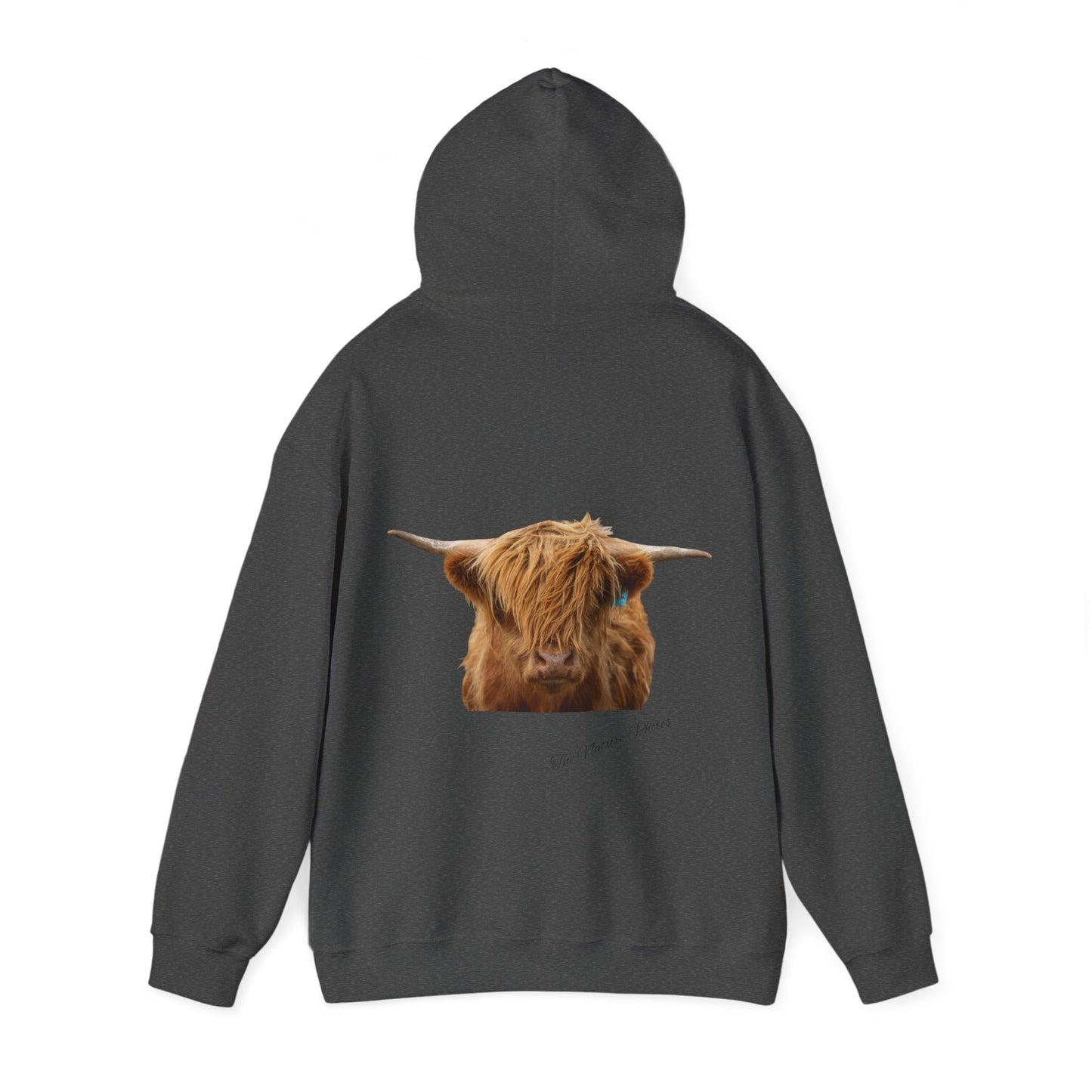 Highland Cow Hoodie