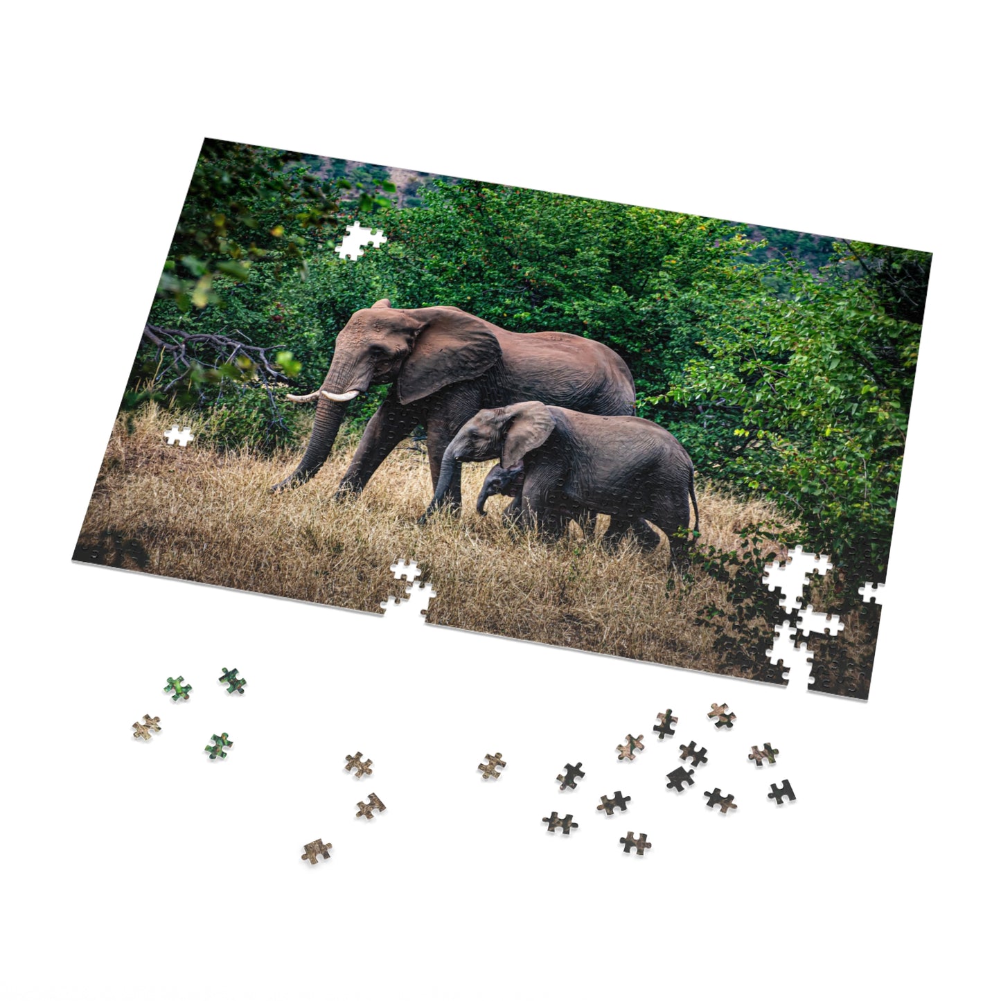 Jigsaw Puzzle (30, 110, 252, 500, 1000, 2000 Piece) - Elephant Family