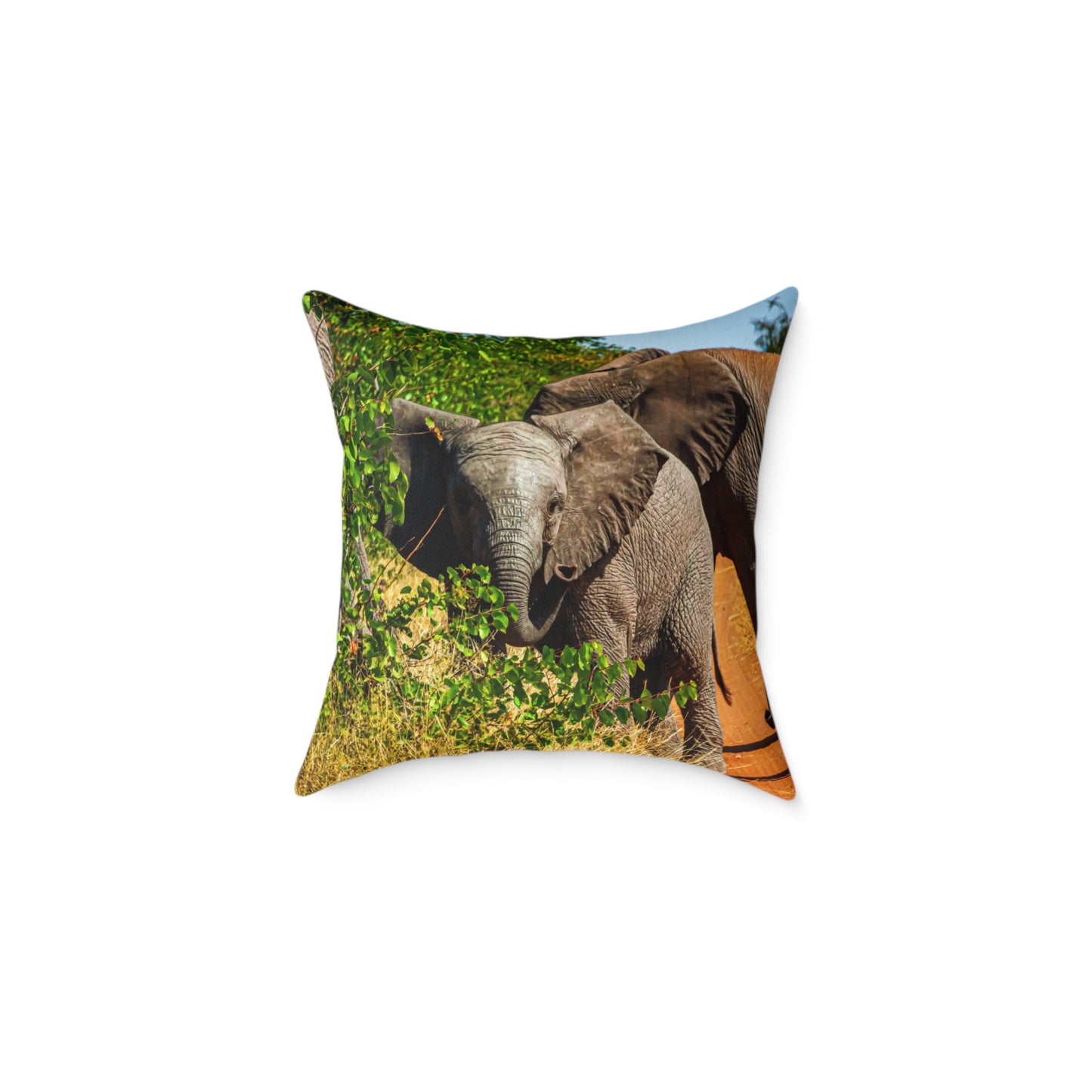 Young Elephant Pillow 18" × 18"