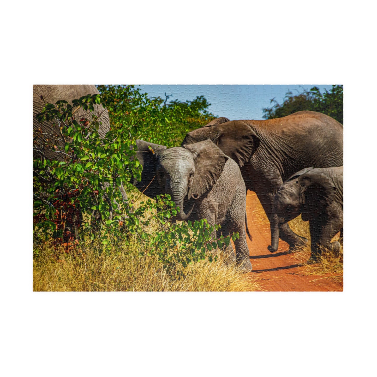 Young Elephant Jigsaw Puzzle