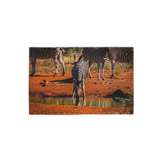 African Zebra Beach Towels 18" x 27"