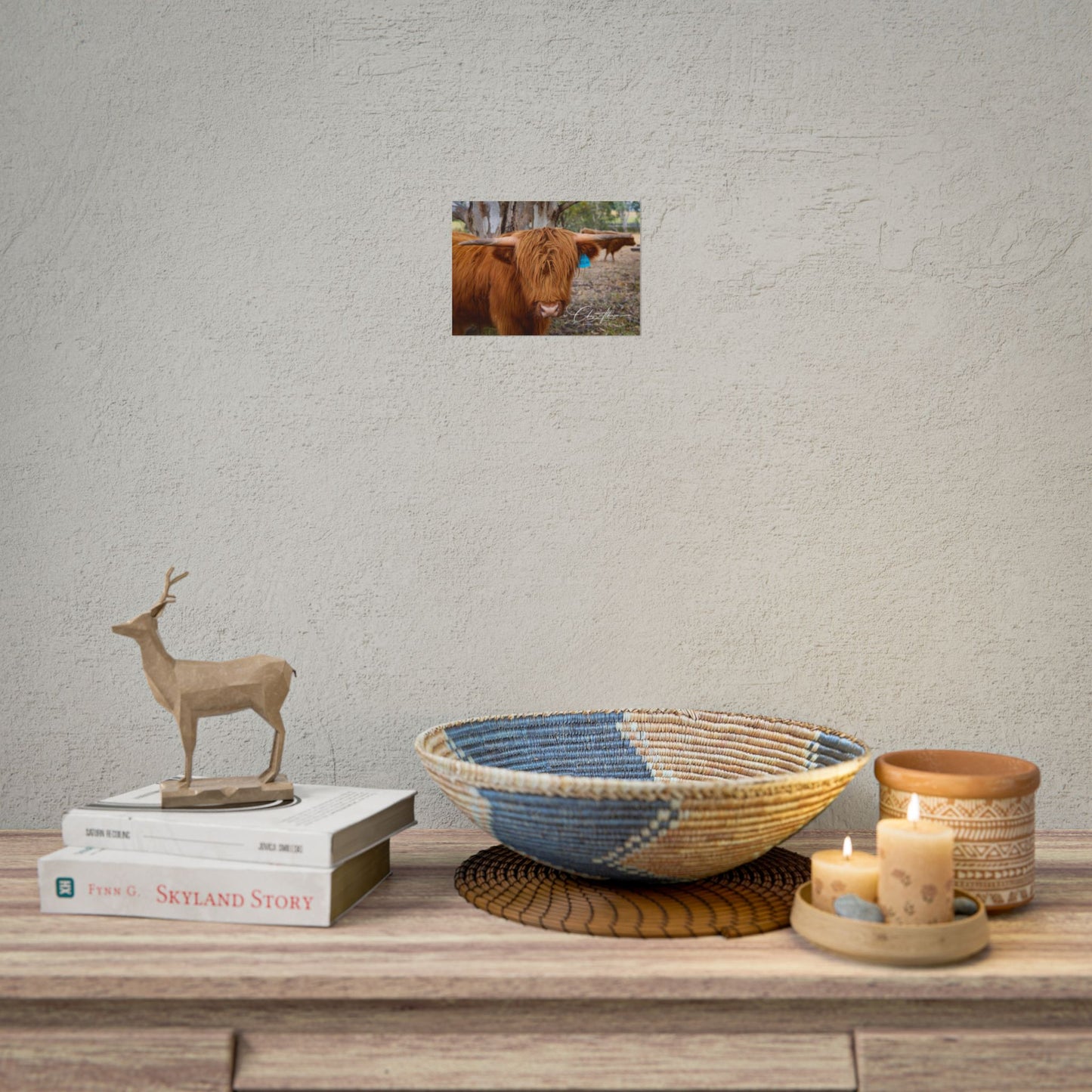 Rolled Posters - Scottish Highland Cattle 7" x 5" (Horizontal) Matte