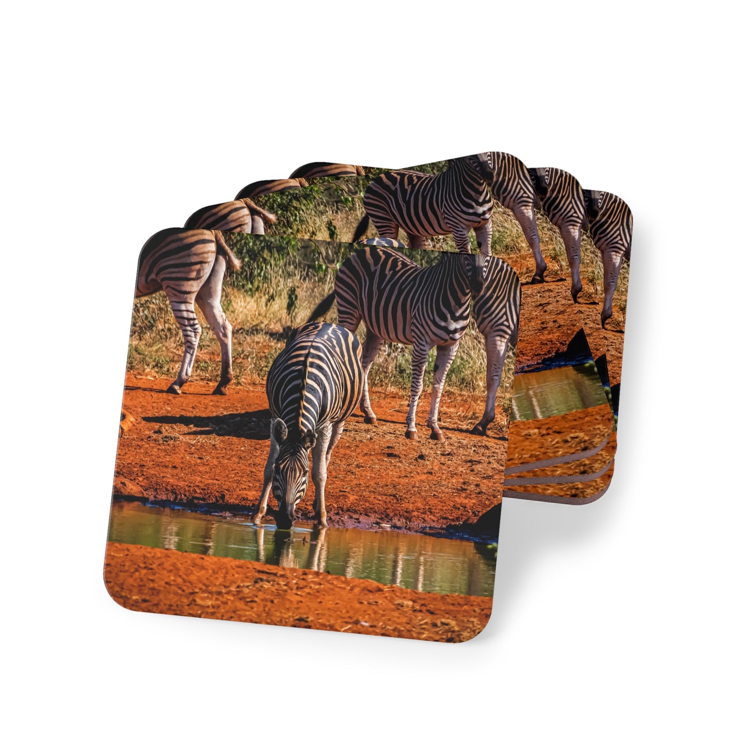 Drinking Zebra Coasters Square 3.7" x 3.7" 4pcs