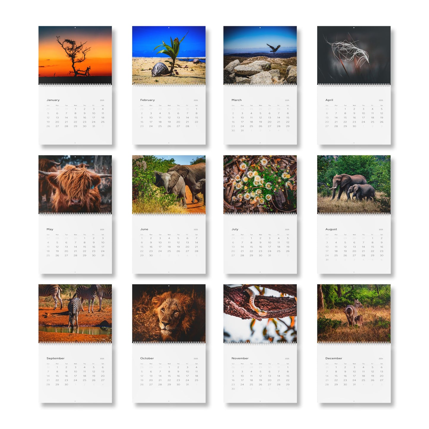 2025 Nature Wildlife Wall Calendar