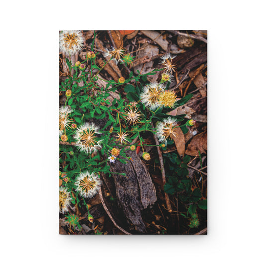Australian Wildflower Hardcover Journal