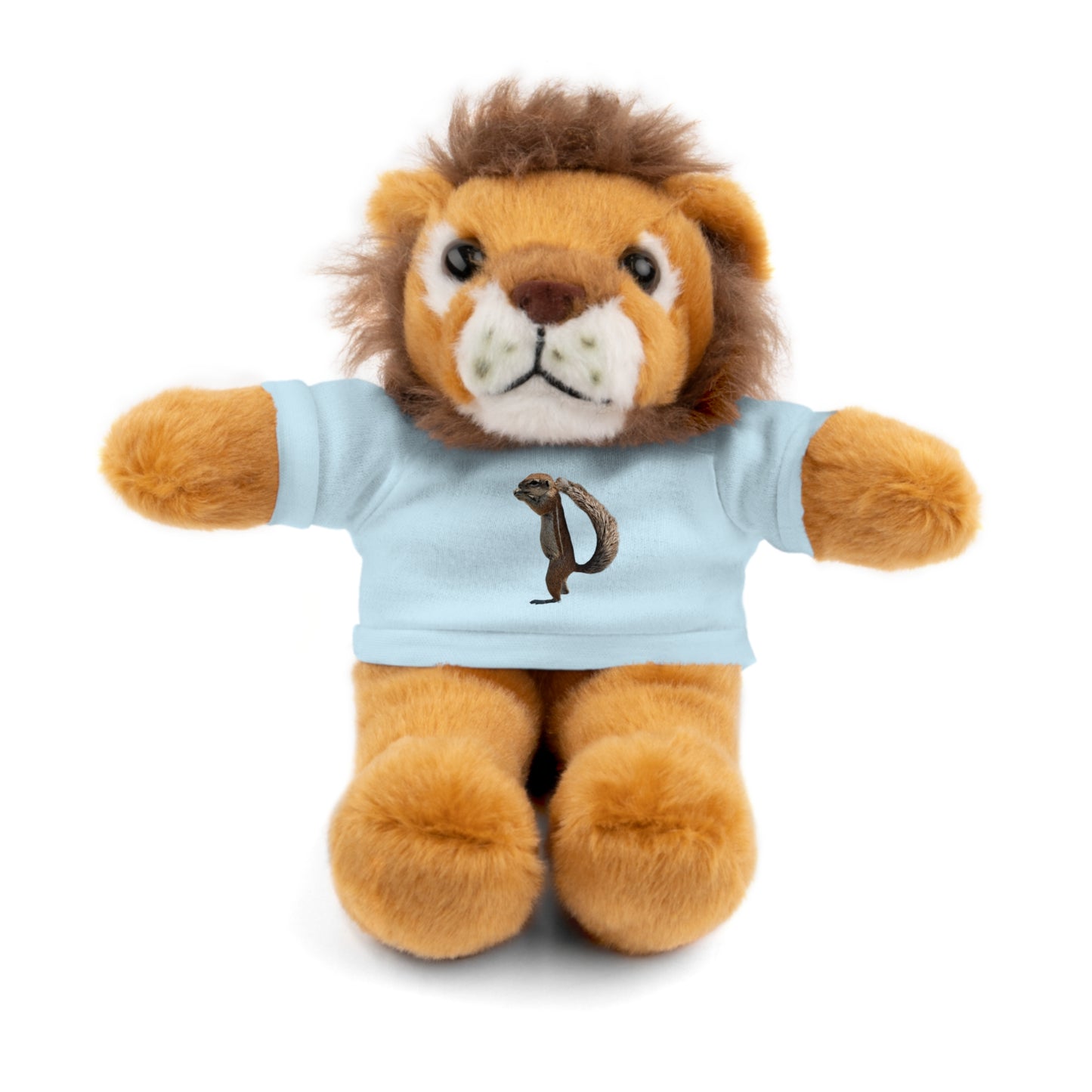 Teddy Bear with Tee