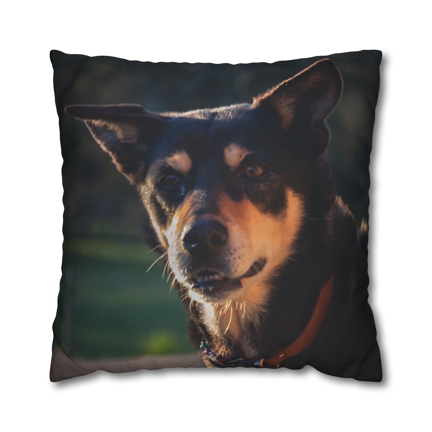 Poly Canvas Pillowcase - Saba the Kelpie 26" × 26"