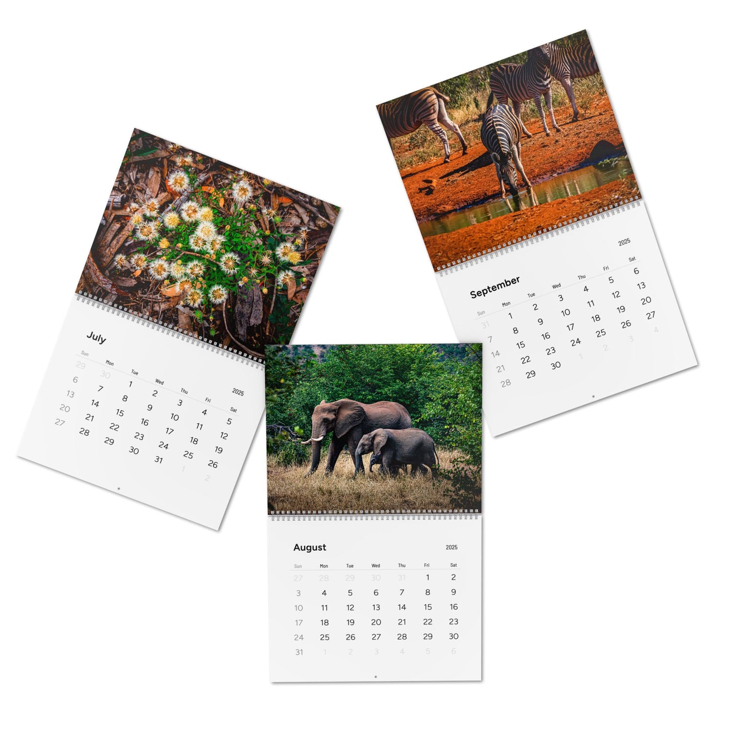 2025 Nature Wildlife Wall Calendar