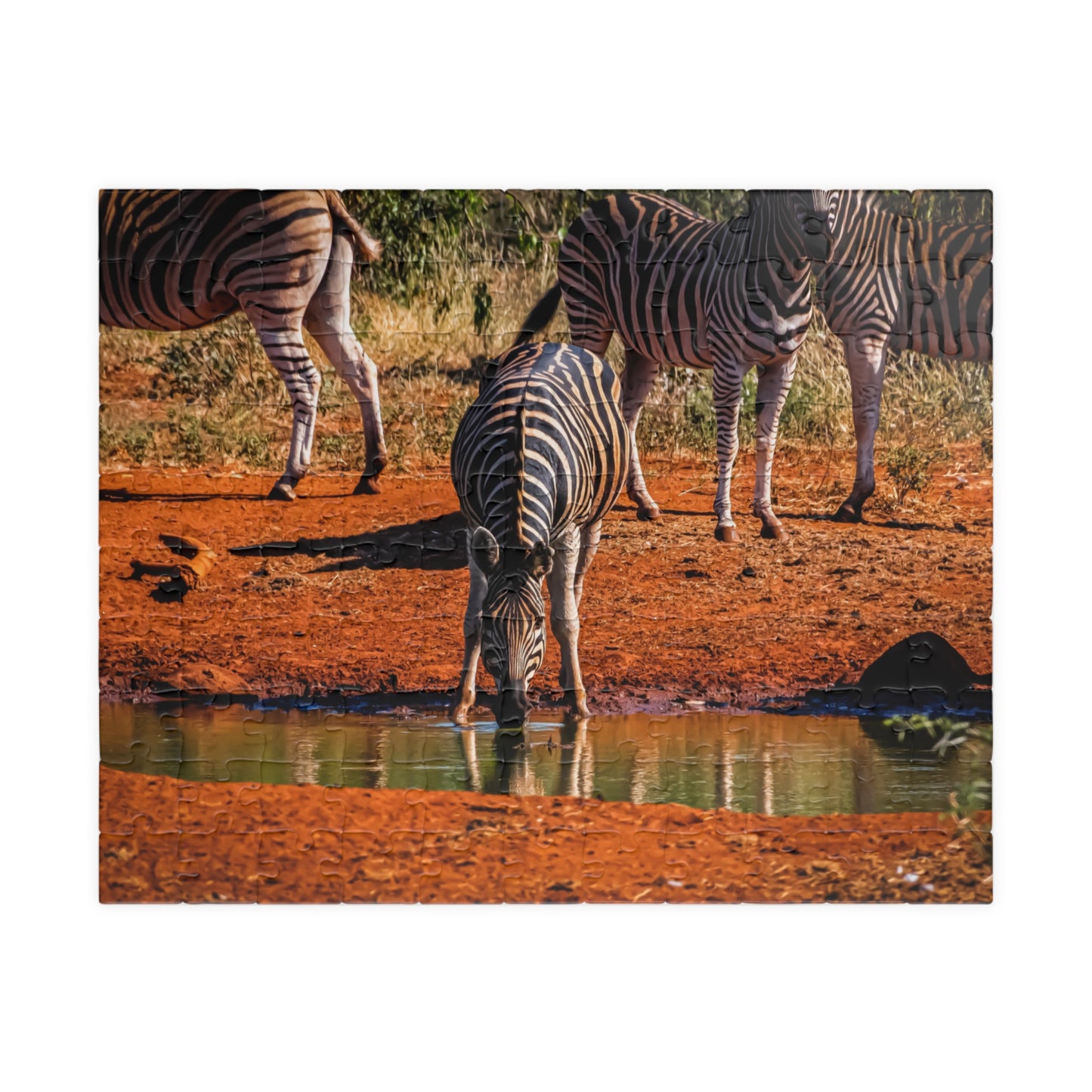 African Zebra Jigsaw Puzzle 110 pcs (Horizontal)